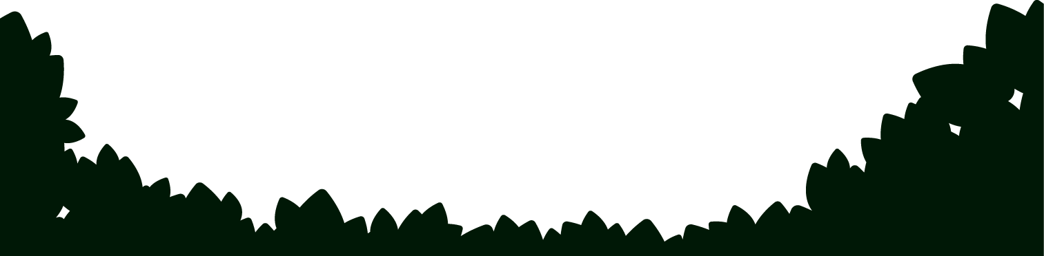 bushesfront